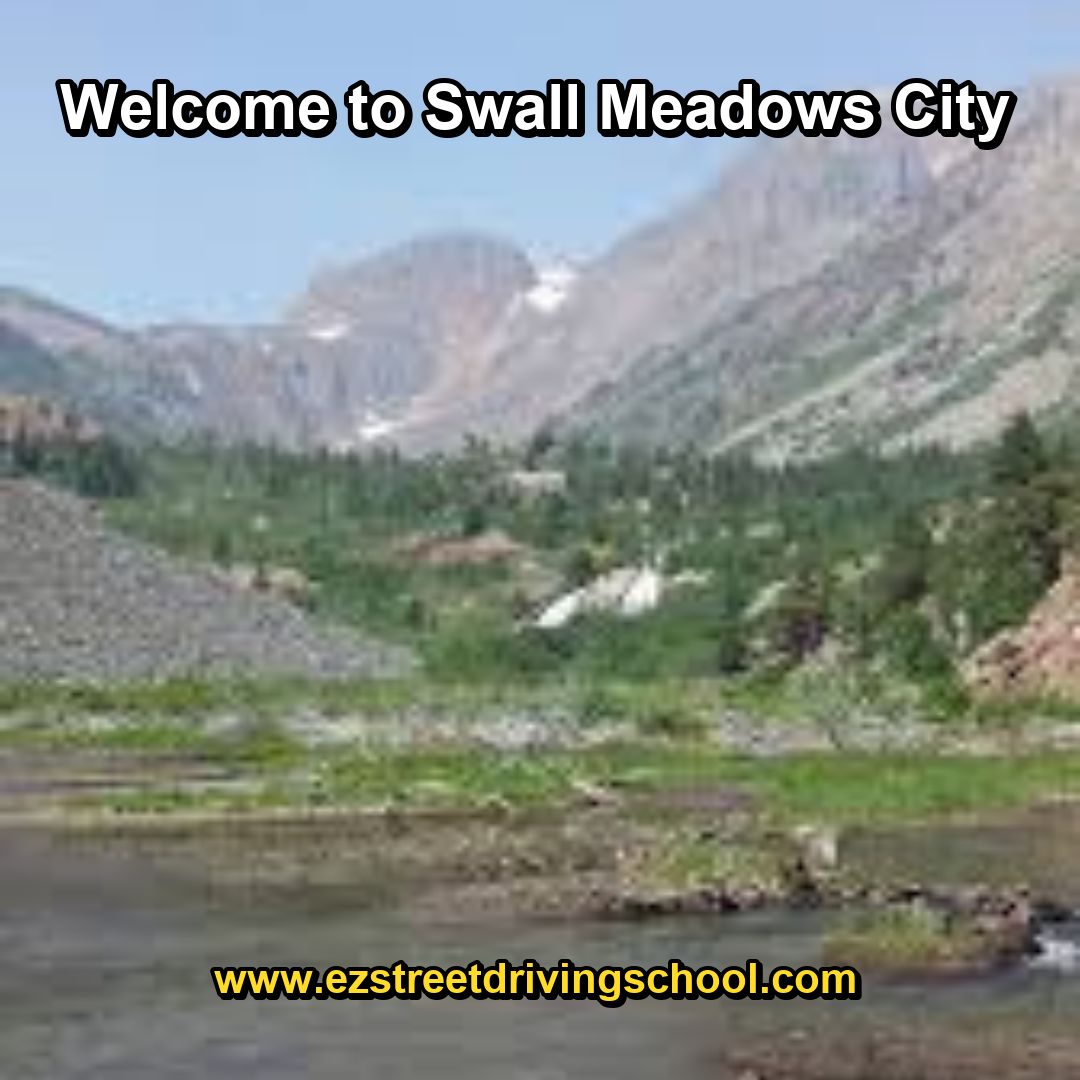 Driving Lessons in Swall Meadows
